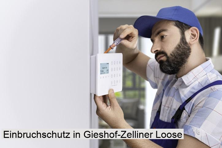 Einbruchschutz in Gieshof-Zelliner Loose