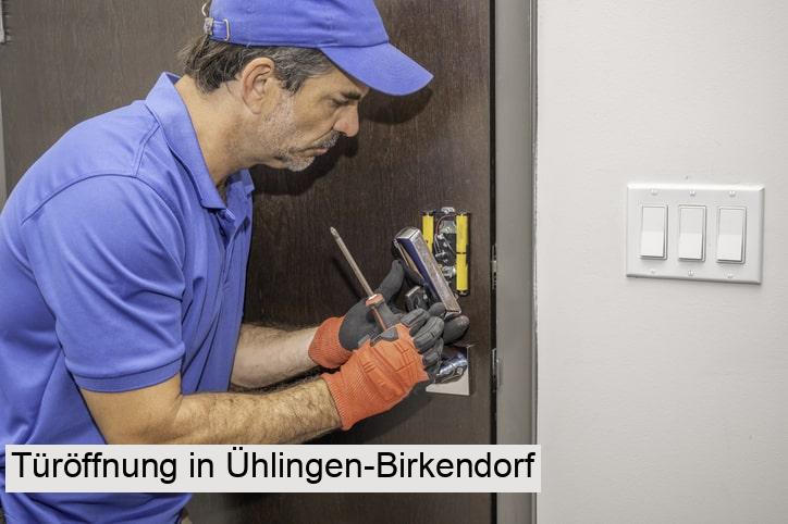 Türöffnung in Ühlingen-Birkendorf